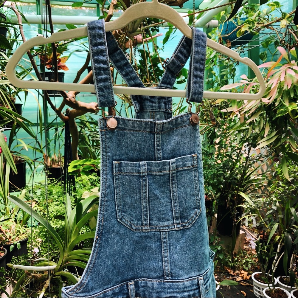 Denim Overalls